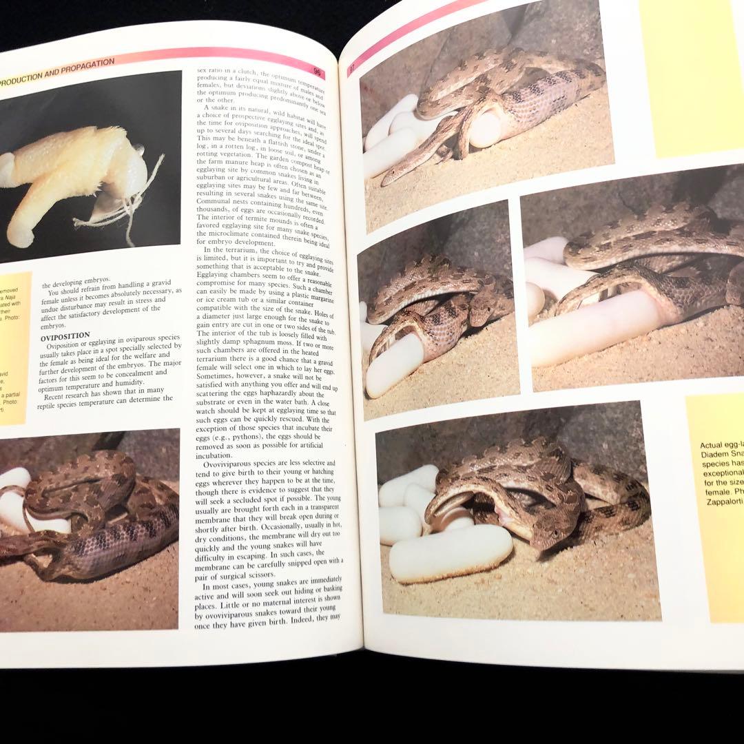 世界ヘビ図鑑「The Atlas of Snakes of the World」 - メルカリ