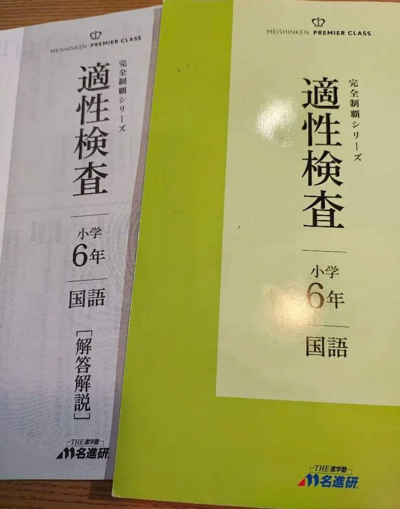 名進研　完全制覇シリーズ適性検査 小学6年 教材