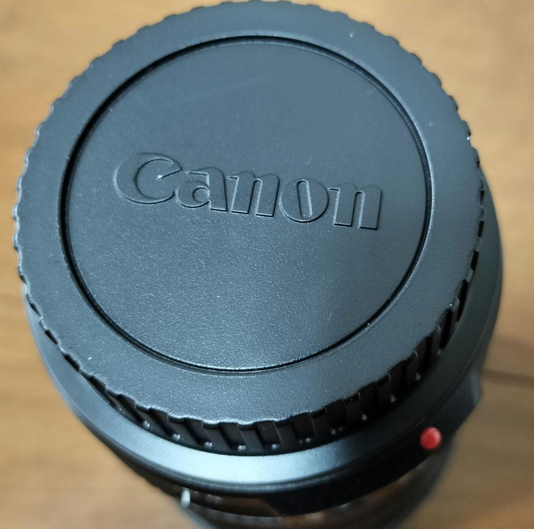 キヤノンEF24-105mm F3.5-5.6 IS STM EW-83M 付き