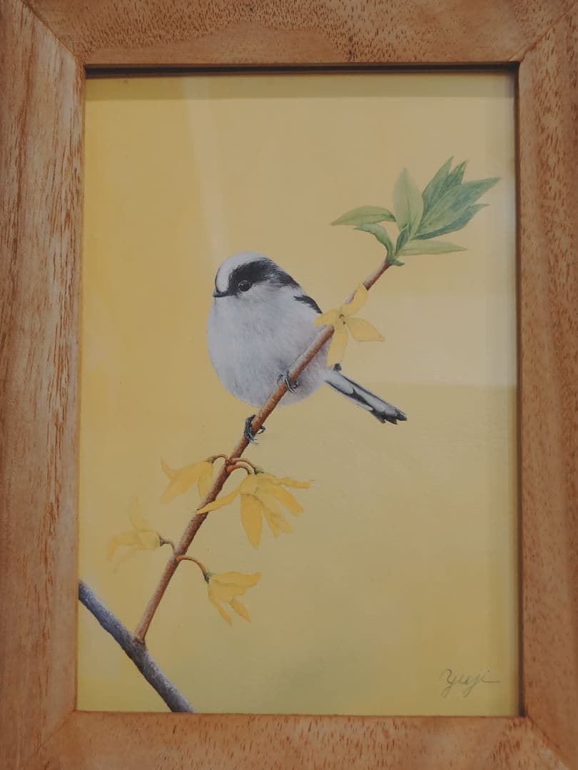 エナガ 谷上裕二