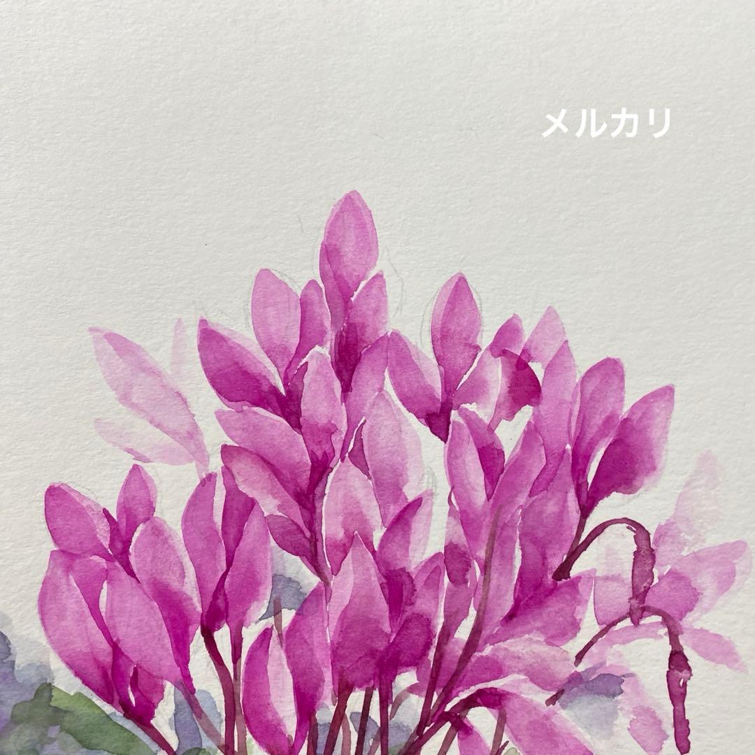 シクラメン 水彩画 原画 - メルカリ