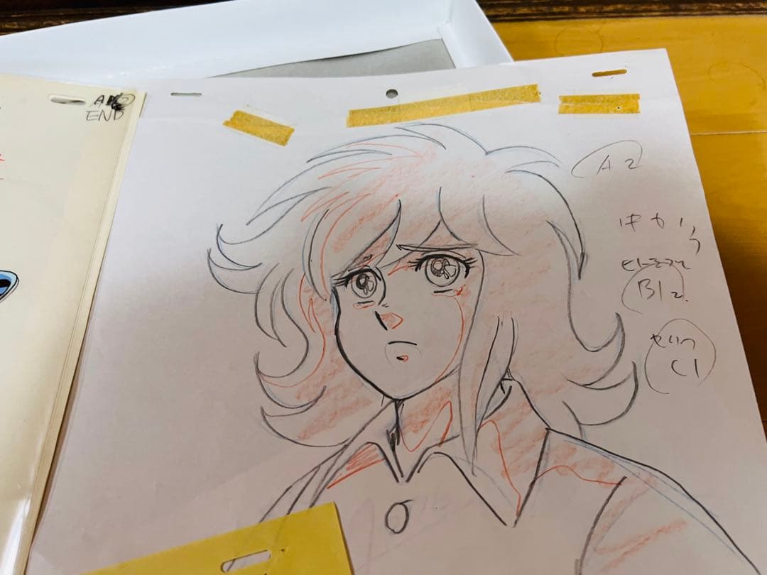 聖闘士星矢 荒木伸吾先生直筆サインカラー色紙 証明書額付 瞬 一輝