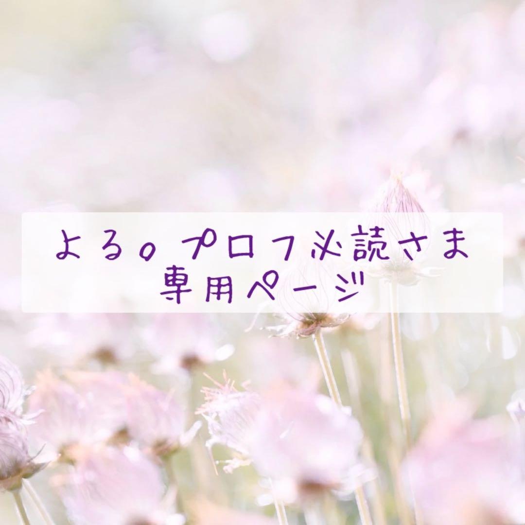 よる。プロフ必読さま　専用ページ