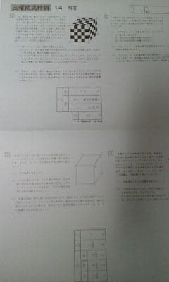 6年算数ウィークリーサピックス 土曜開成特訓 プリント＊全14回