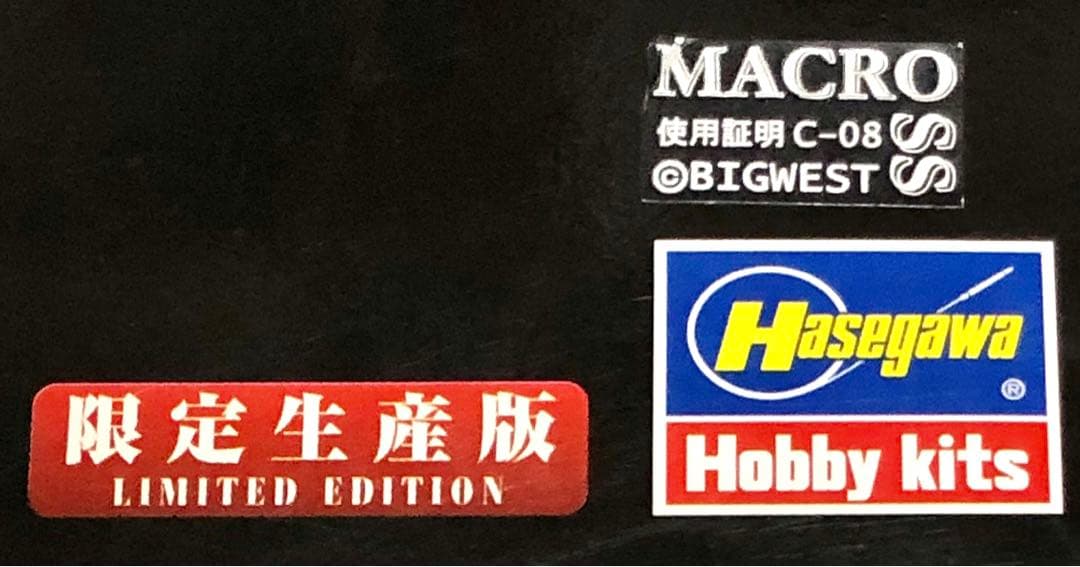 河森正治EXPO限定 YF-19 limited ver. - メルカリ