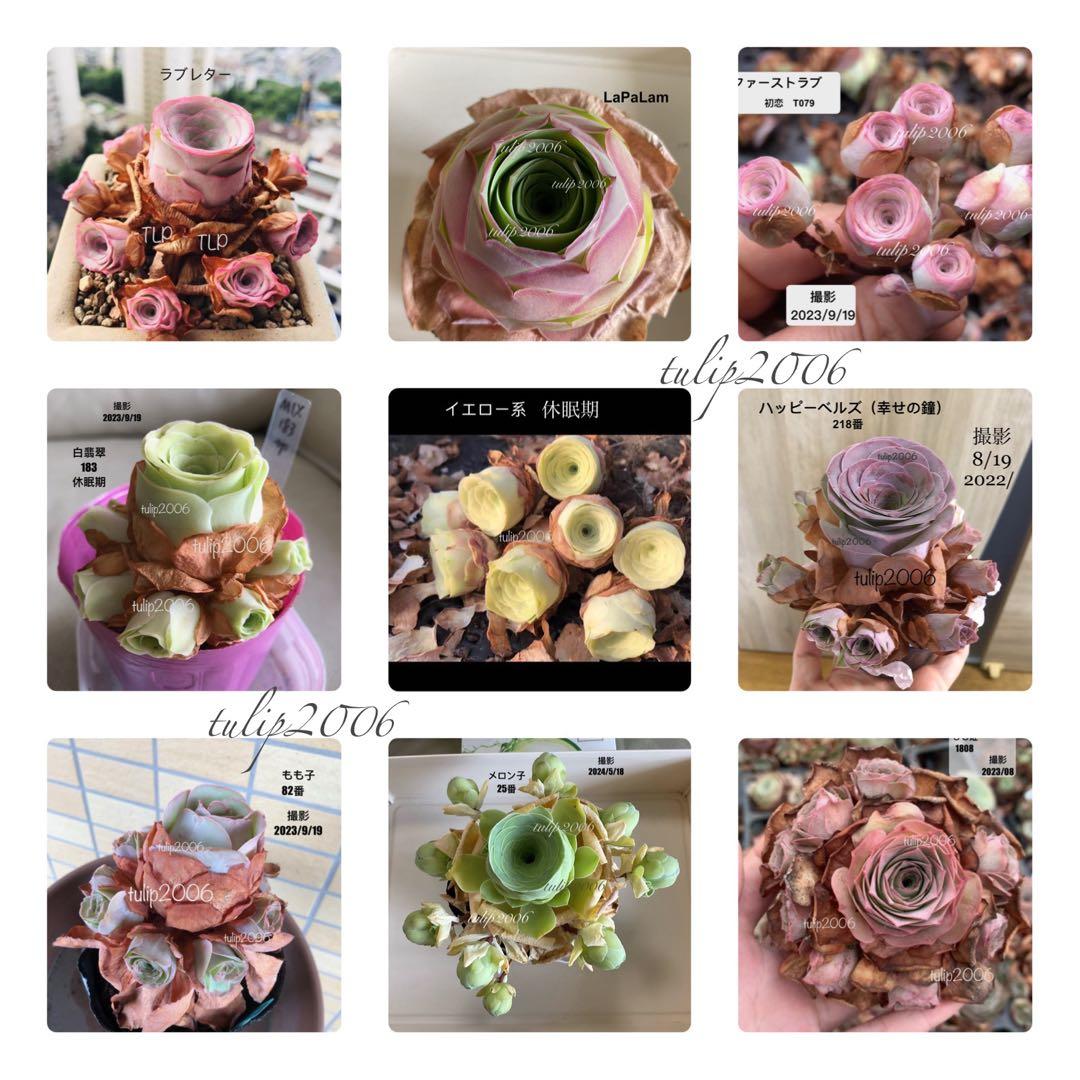 くまさん様 リクエスト 3点 まとめ商品 くまさんず様 ポコママ様 リクエスト 2点 まとめ商品 リクエスト 2点