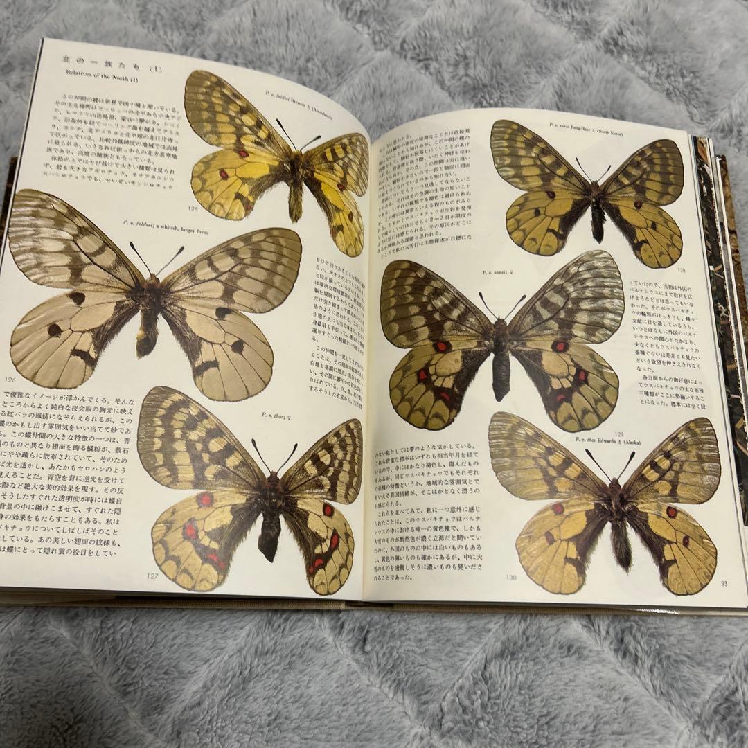 安曇野の蝶】田淵行男 特装 88部限定版 オリジナル彩色木版画