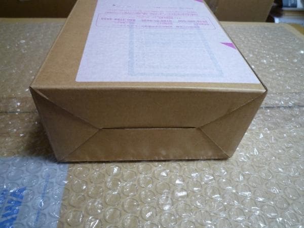 S.H.Figuarts 真骨彫製法 仮面ライダー1号 桜島Ver 栄光の昭和