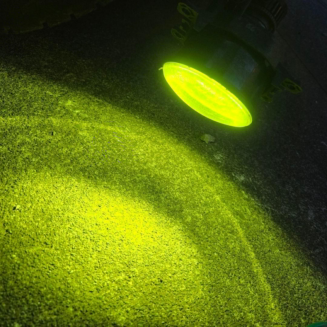 後期デリカD5 IPF製フォグクリアー101FL ロイヤルガードバルブ付き