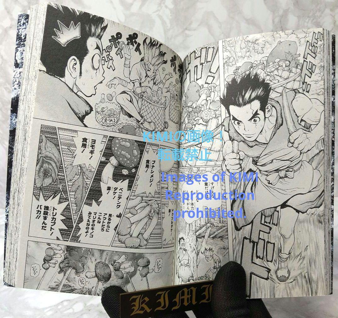 希少 初版 Dr.STONE 1 コミック 2017 Boichi,稲垣 理一郎 - メルカリ