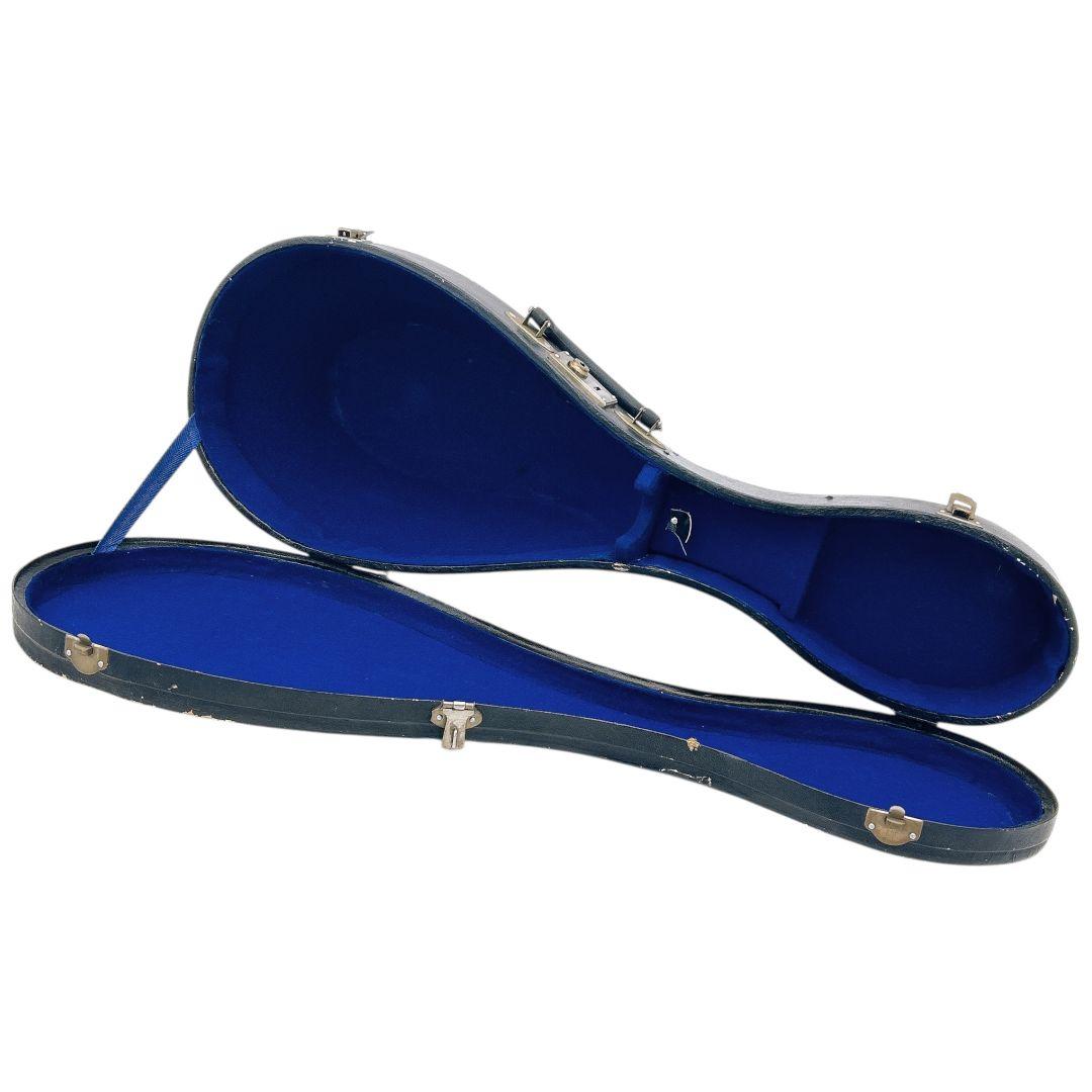 1969年製】SUZUKI マンドリン No.228 ハードケース付 美品 - メルカリ