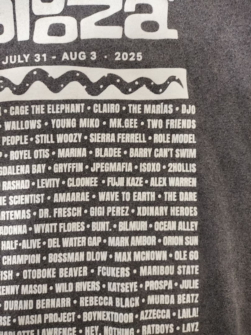 Lollapalooza ロラパルーザ 2025 Tシャツ Lサイズ 藤井風 - メルカリ