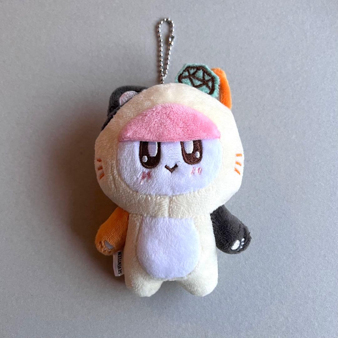 SEVENTEENセブチ ボンボンイ ぬいぐるみ 着ぐるみBONGBONG - メルカリ