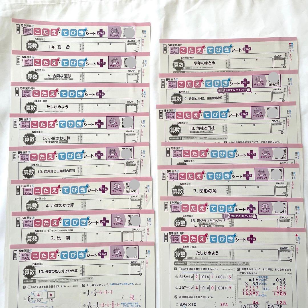 小5 カラーテスト答え 算数 原本 2023年度 まとめ 15枚セット ぶんけい