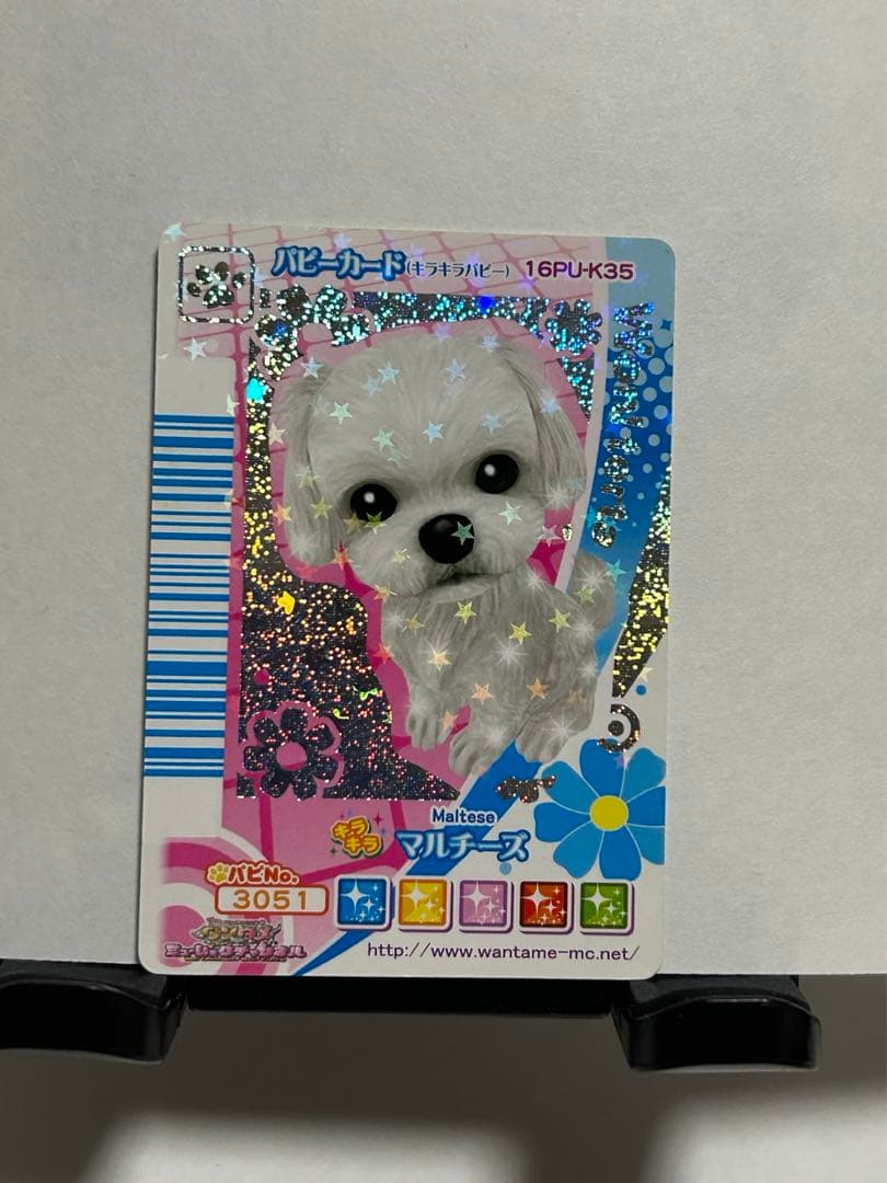 ワンタメ 【 パピーカード4枚セット＋おまけ2枚付 】 - メルカリ