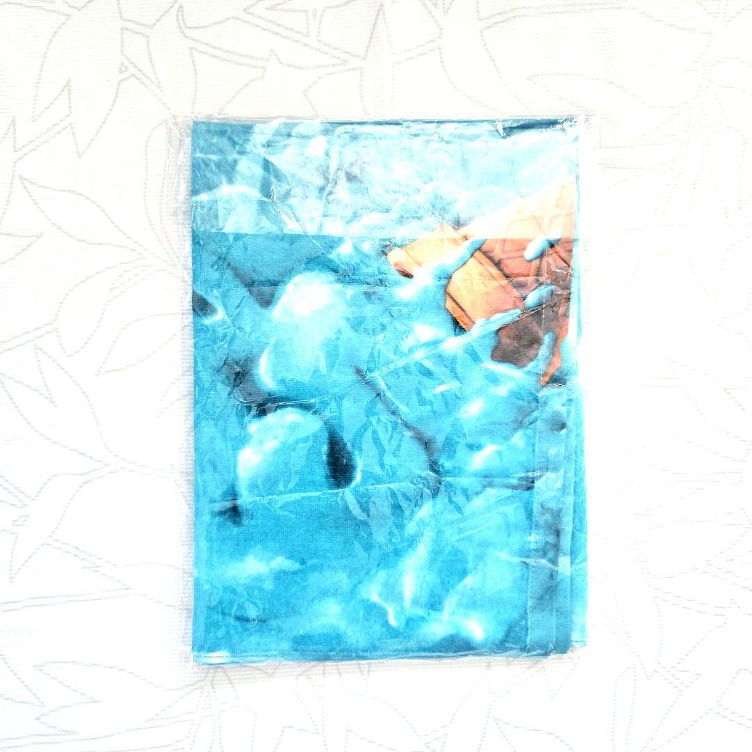 RADWIMPS 2025 ロングフェイス タオル フェス グッズ - メルカリ