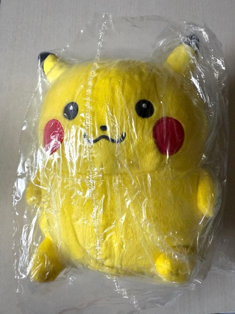 ピカチュウ 24じかんポケモンCHU ぬいぐるみ ポケモンセンター ナガノ