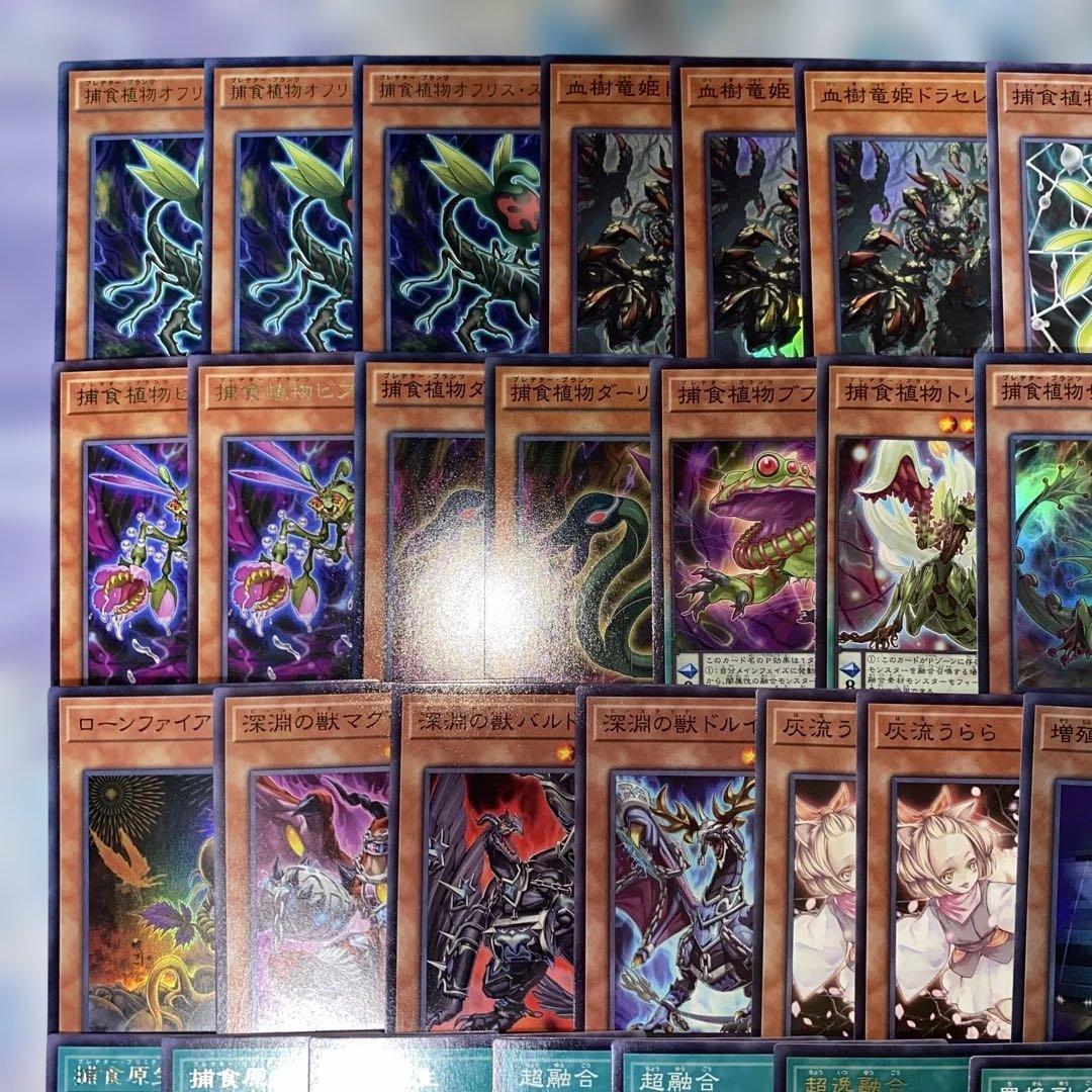 2192】遊戯王 捕食植物デッキ プレデタープランツcs優勝構築超逸融合