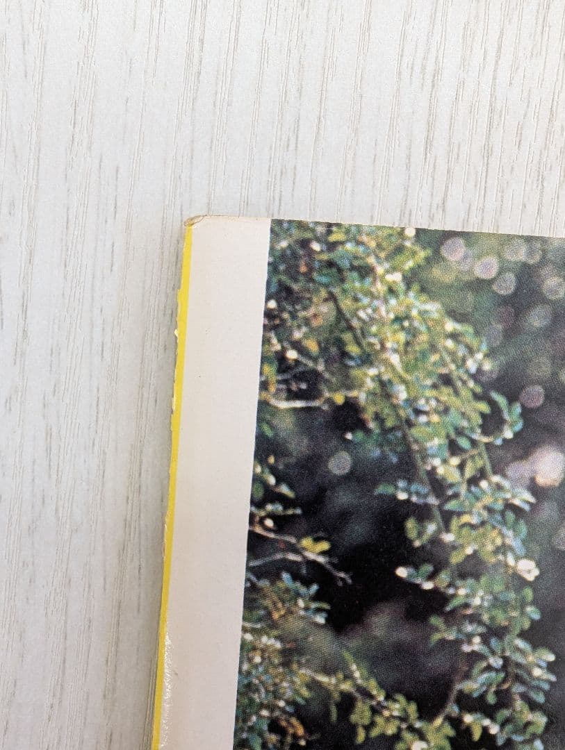 【天地真理】1973『 ヤングアイドルナウ VOL.2 晩秋号』中古品※特典付