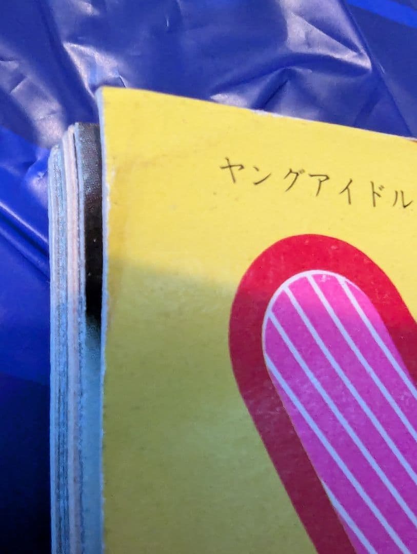 【天地真理】1973『 ヤングアイドルナウ VOL.2 晩秋号』中古品※特典付