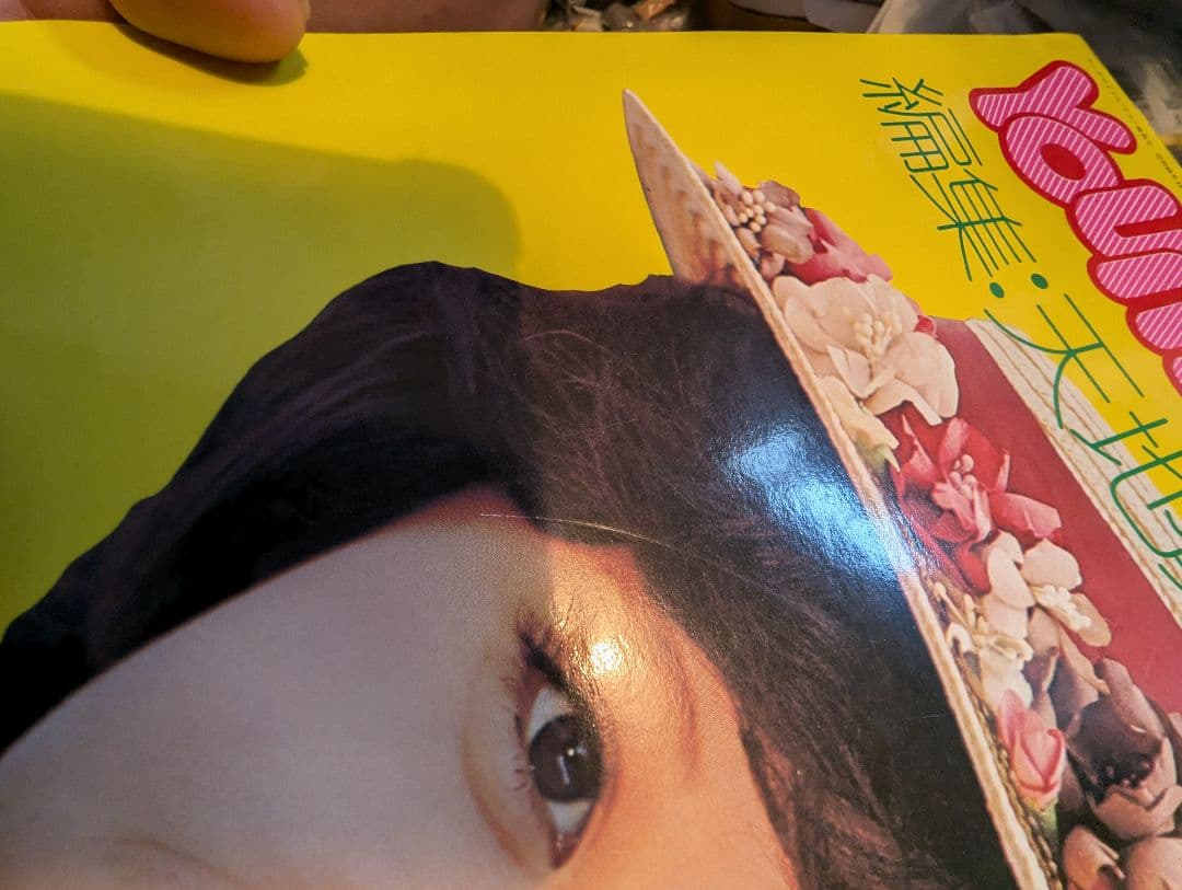 【天地真理】1973『 ヤングアイドルナウ VOL.2 晩秋号』中古品※特典付