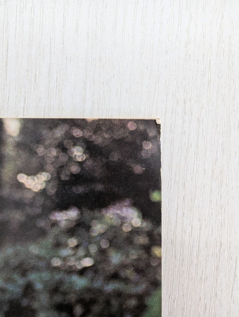 【天地真理】1973『 ヤングアイドルナウ VOL.2 晩秋号』中古品※特典付