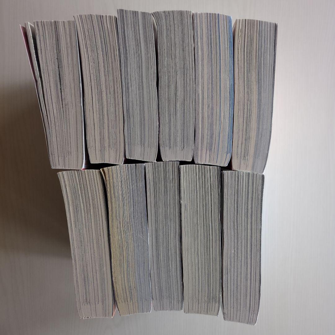 レディースコミック レディコミ 11冊セット - メルカリ