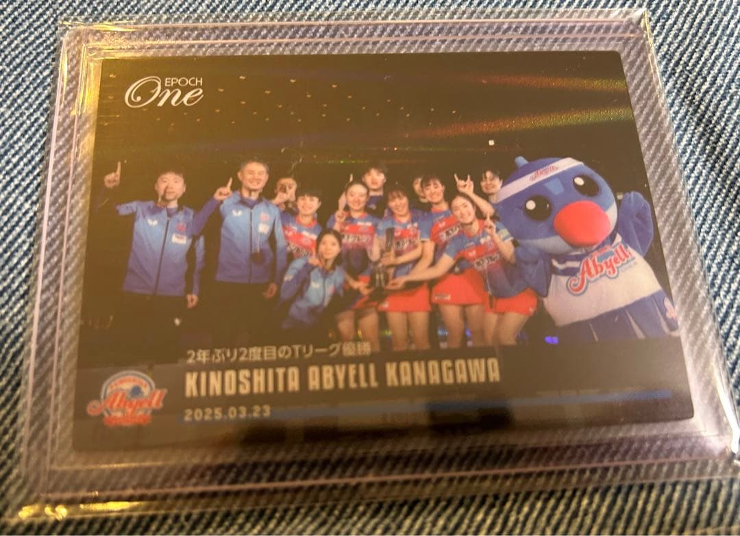 エポックワン【木下アビエル神奈川】2年ぶり2度目のTリーグ優勝（25.3