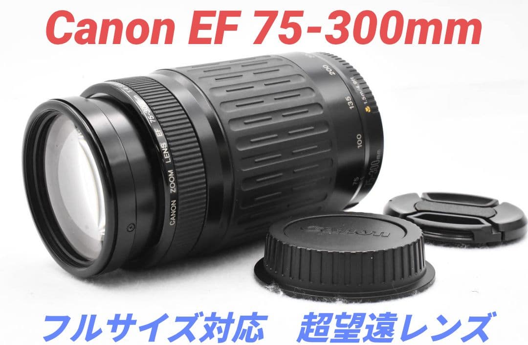 11月23日限定販売♪【超望遠レンズ】Canon EF 75-300mm Amazon.co.jp: キャノンEF 75-300mm f/4-5.6 III 望遠ズームレンズ
