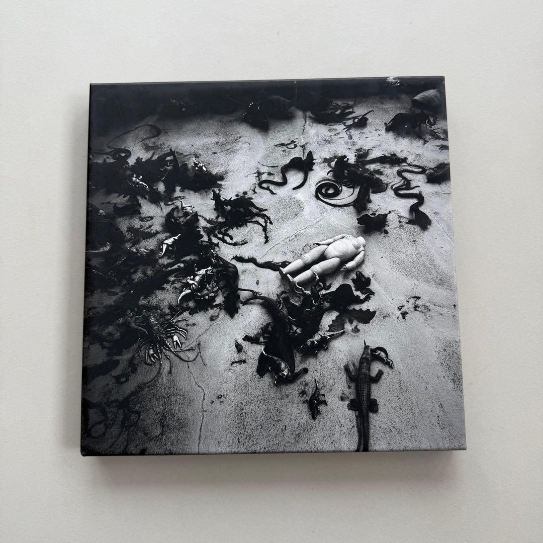 CHANEL NEXUS 写真集 東京墓情 荒木経惟 - アート・デザイン・音楽