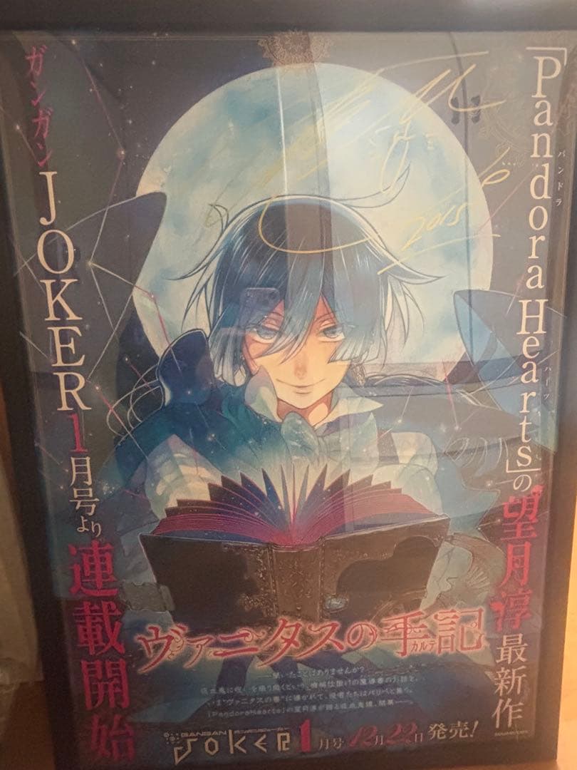 ヴァニタスの手記直筆サイン入りポスター HYODA STORE / ヴァニタスの手記