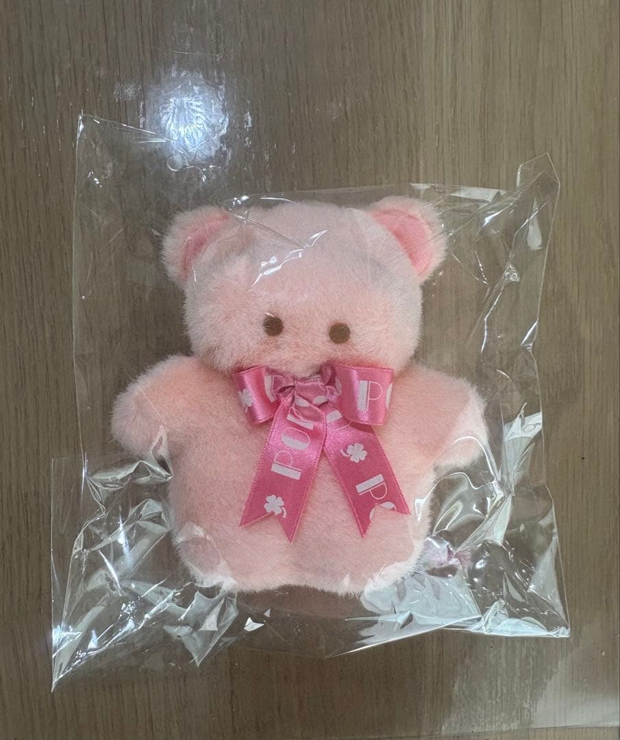 ポッポちゃん（ミニ）カバ TAKENOKO - メルカリ