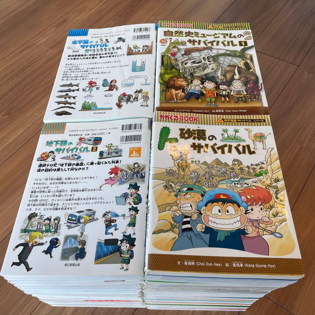 【まいさん】サバイバルシリーズ① まいさん】サバイバルシリーズ① まいさん】サバイバルシリーズ① 朝日