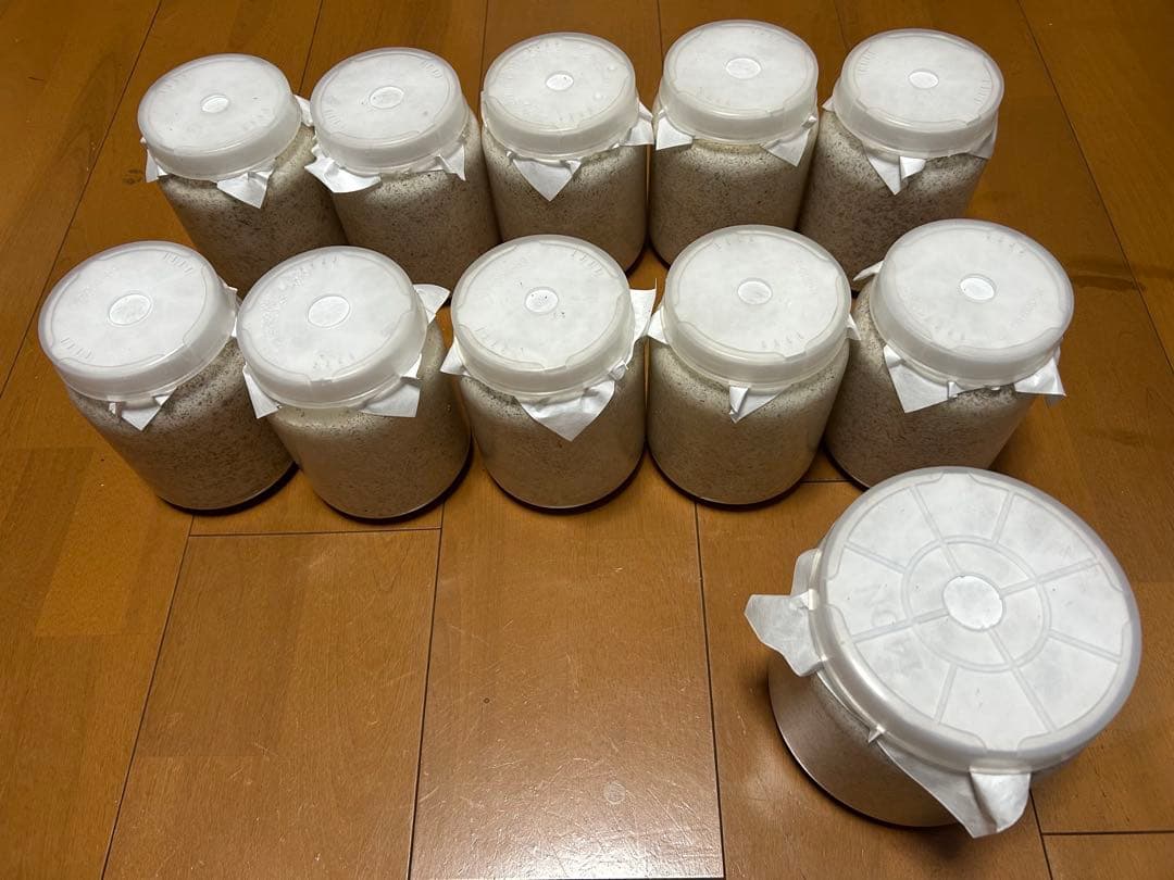 神長きのこ園S8カンタケ菌糸ボトル 800cc10本、1400cc1本 菌糸ビン