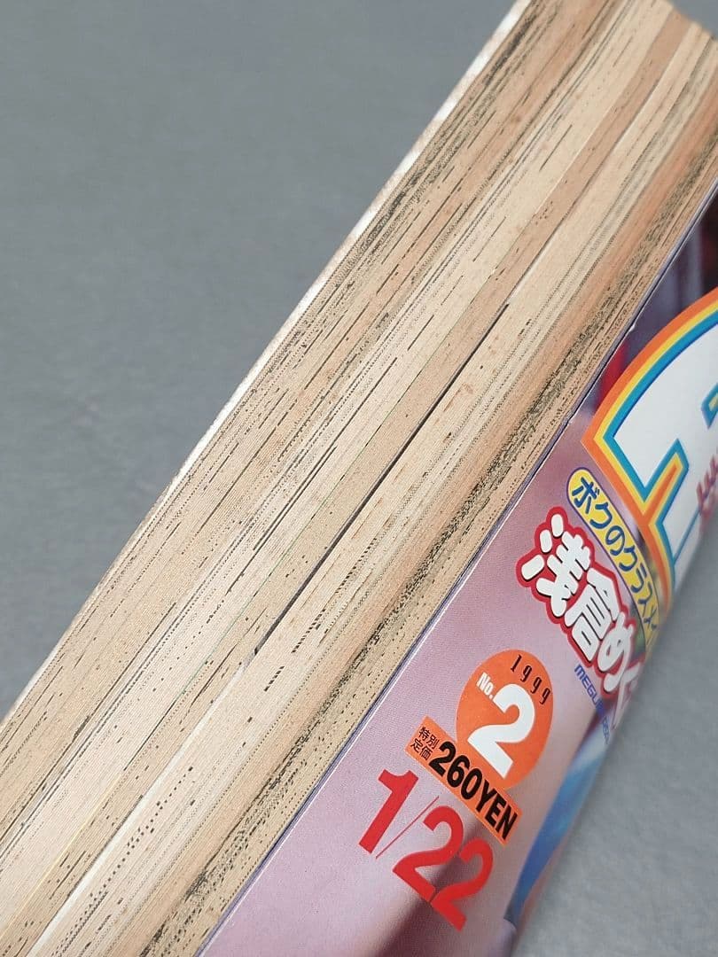 ヤングアニマル1999年2号ベルセルク第134話/浅倉めぐみ表紙&水着グラビア