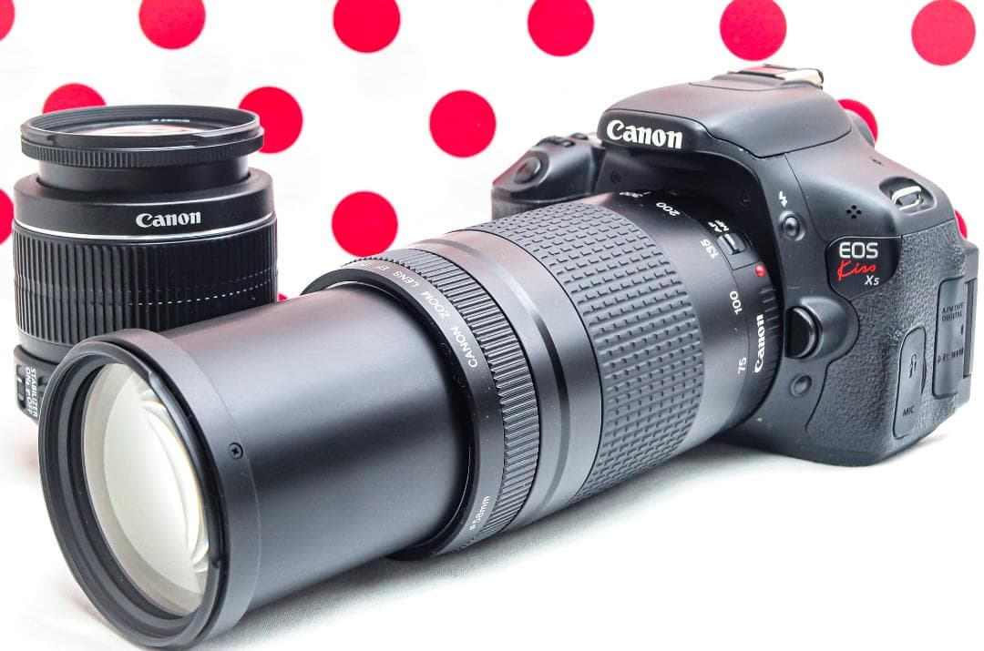 超望遠ダブルレンズ❤Canon kiss x5❤スマホ転送❤あらゆるシーンに