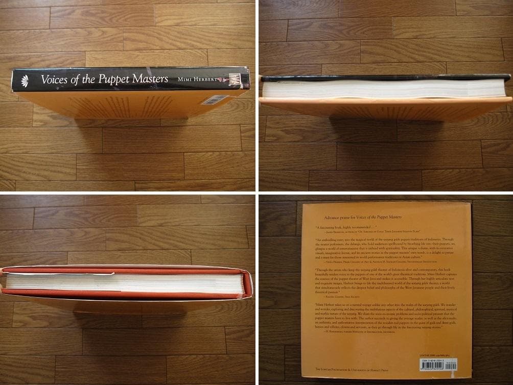 Voices of the Puppet Masters インドネシア 人形