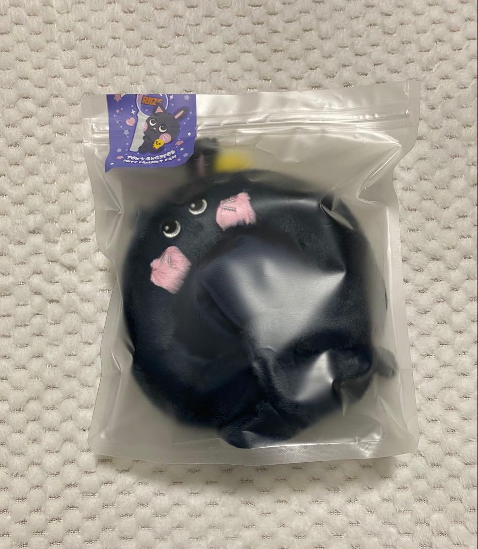 RIIZE ウォンビン トニャンドク ペンライトカバー - メルカリ