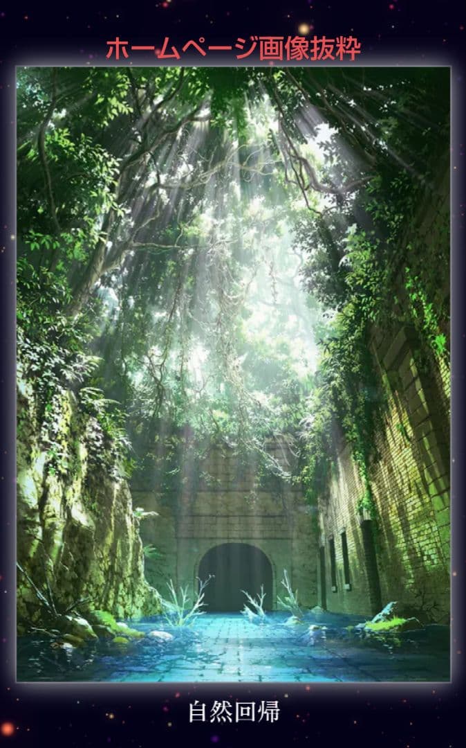 ちゃんのり様専用 mocha(モカ)：自然回帰(ミクスドメディア) - メルカリ