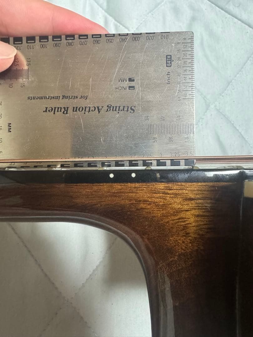 GOAT アコースティックギター スプルーストップ - メルカリ