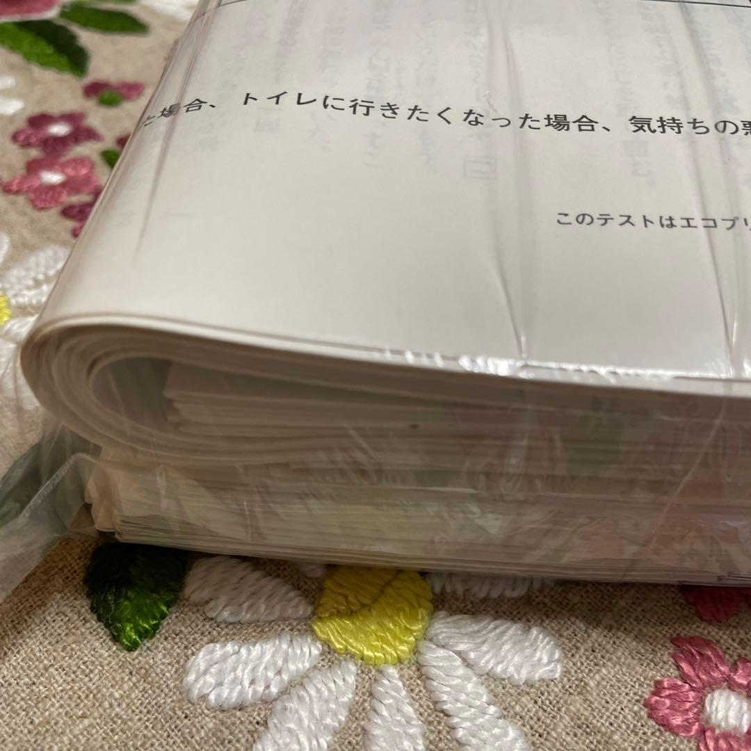 日能研6年 合格力完成テストファイナル256 入試直前実践テスト 最終