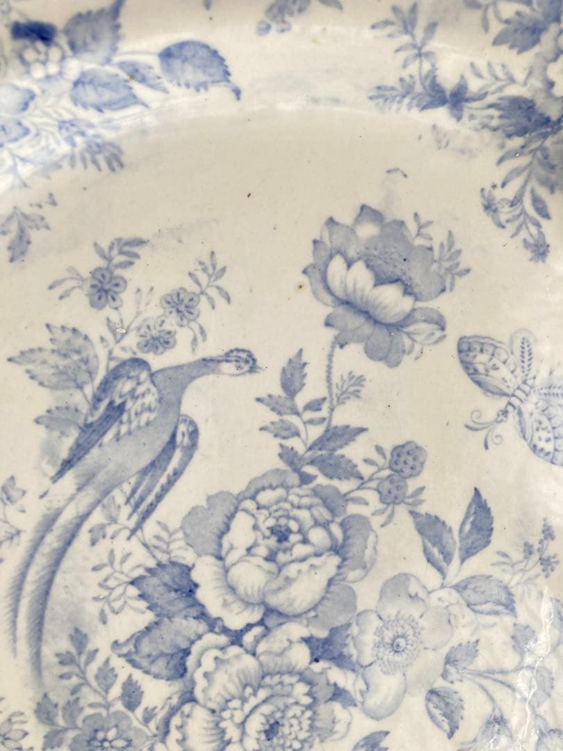 【レア】ヴィクトリアン　アジアティックフェザンツオーバル　大皿　38.5cm