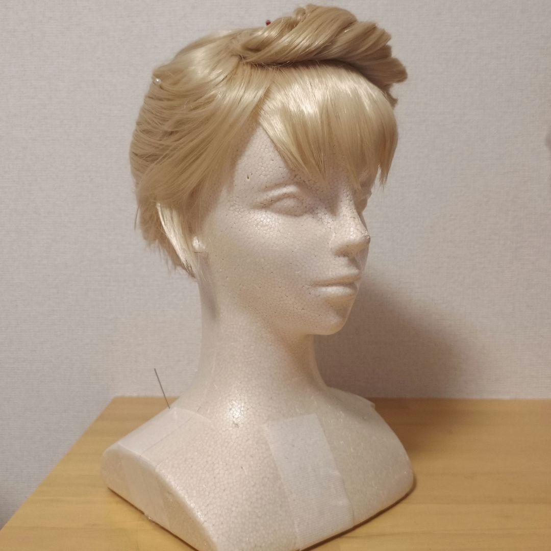 ⭐️受付中⭐️アナ雪 エルサ 戴冠式 ウィッグオーダー受付中 - メルカリ