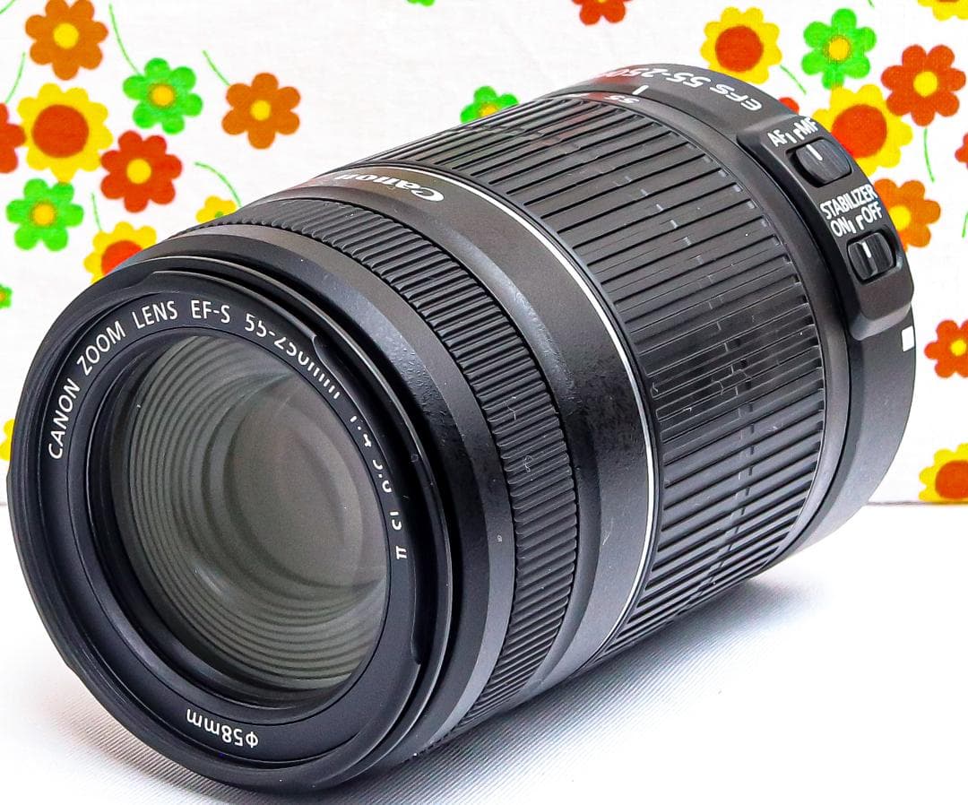 キャノン Canon EF-S 55-250mm IS Ⅱ☆手振れ補正付☆美品 Amazon.co.jp: Canon EF-S55-250mm F4-5.6 IS II 【白箱タイプ