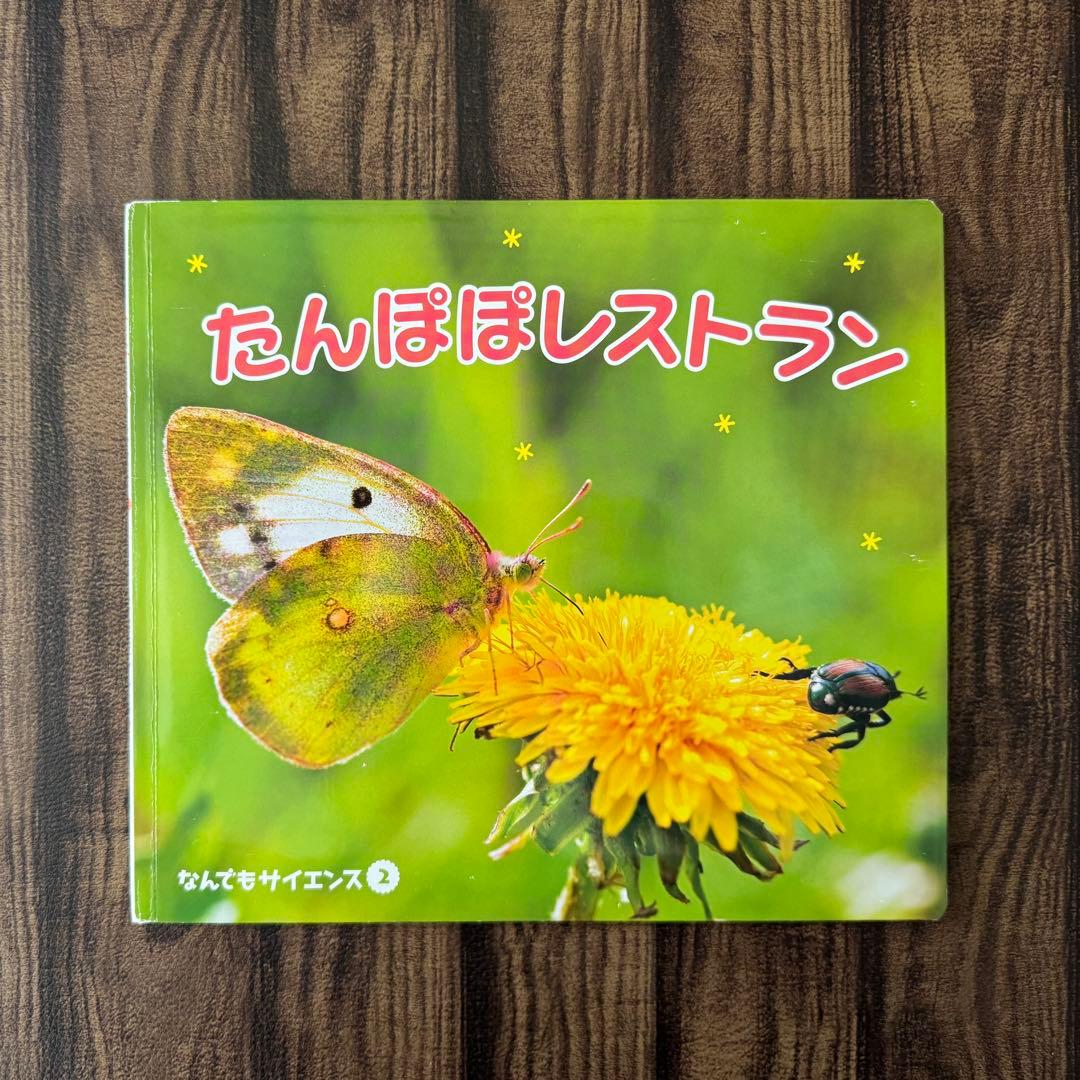 たんぽぽの絵本 キンダーブックしぜん ちいさなかがくのとも なんでも