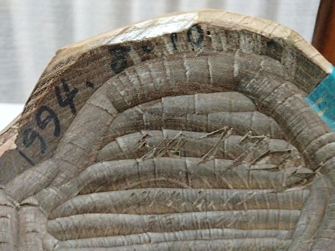 青山作 木彫 フクロウの置物 北海道洞爺湖 民藝 - メルカリ