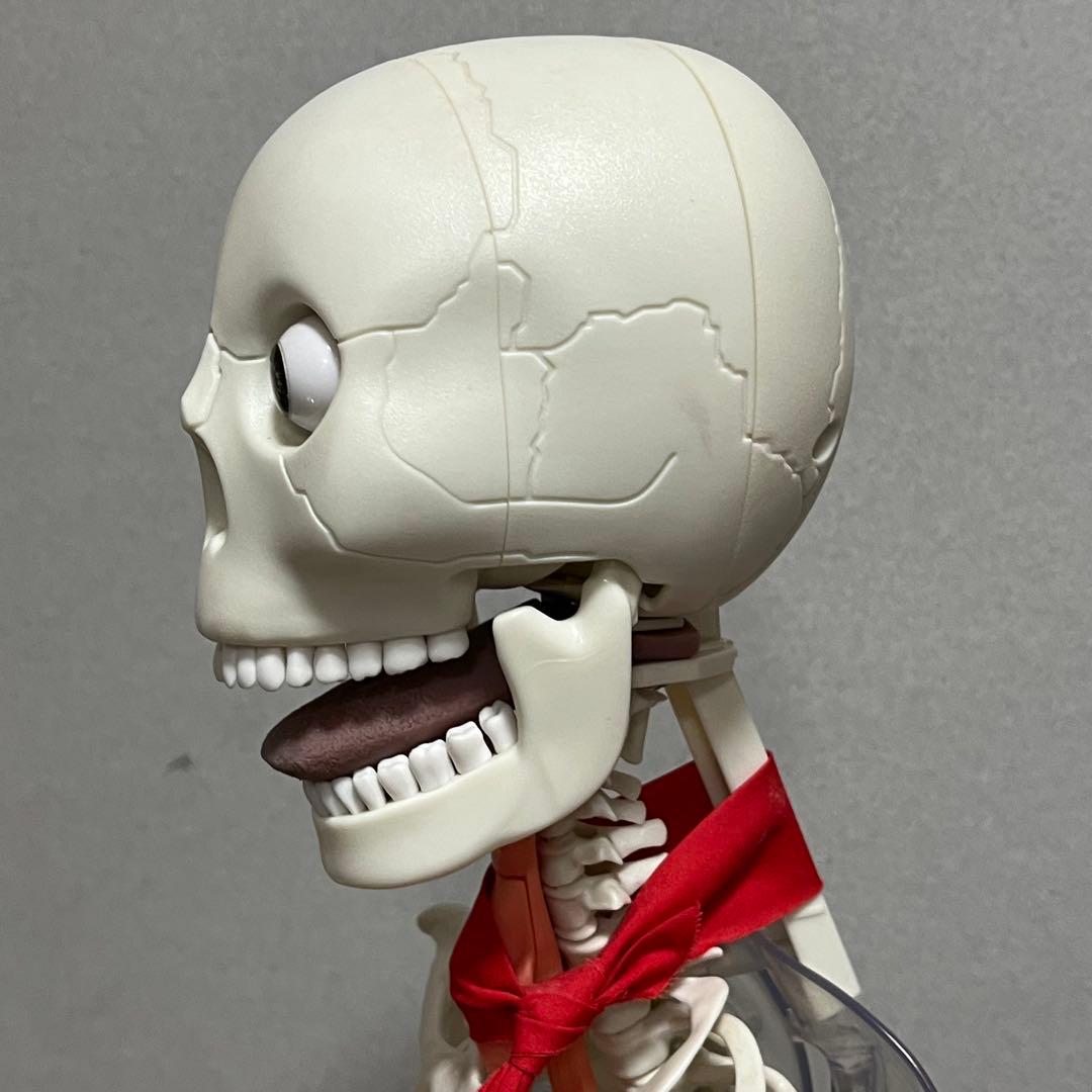 ディアゴスティーニ ホネッキー おしゃべりガイコツ パーツ取り