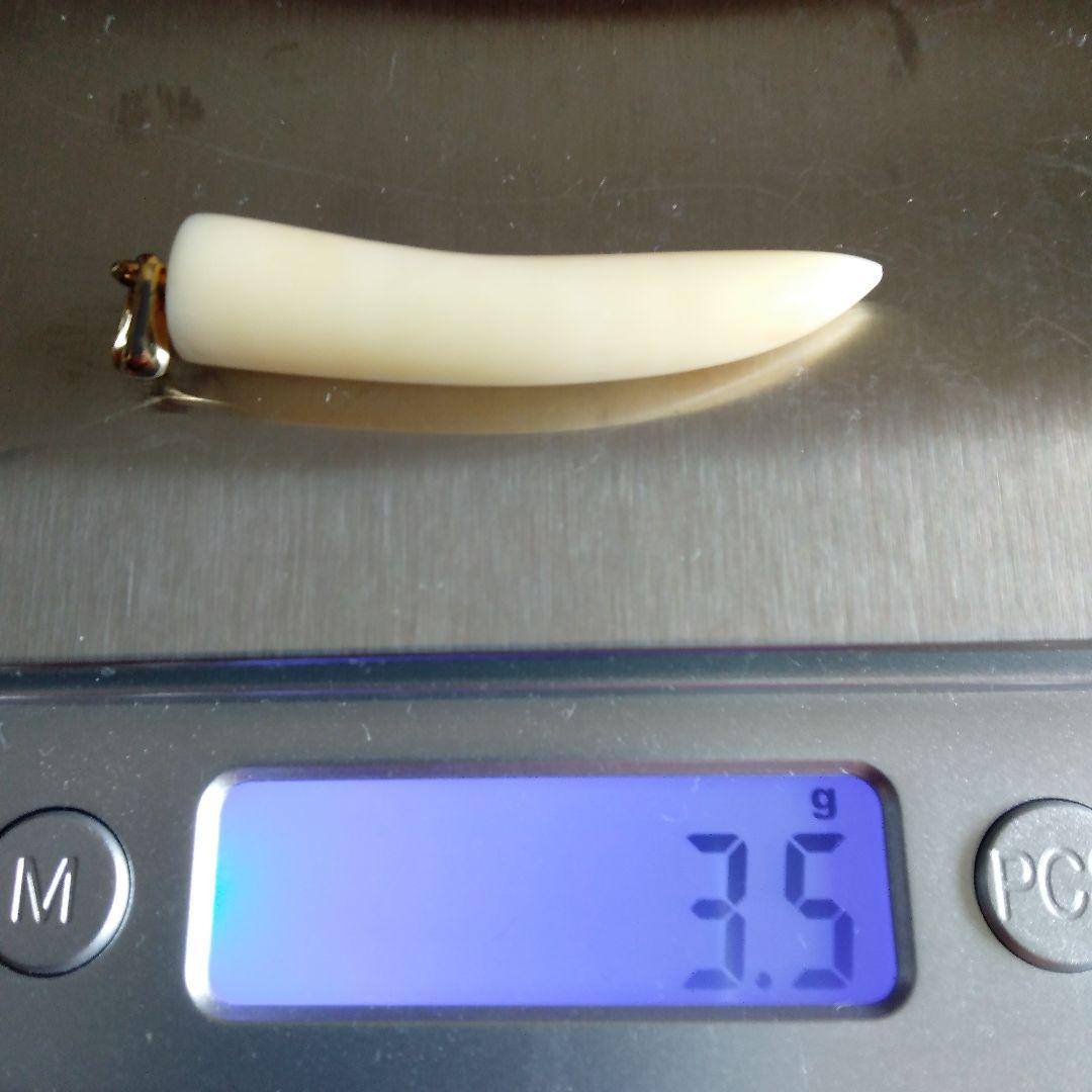 値下げ】鯨歯 マッコウクジラ 牙ペンダントトップ ① - メルカリ