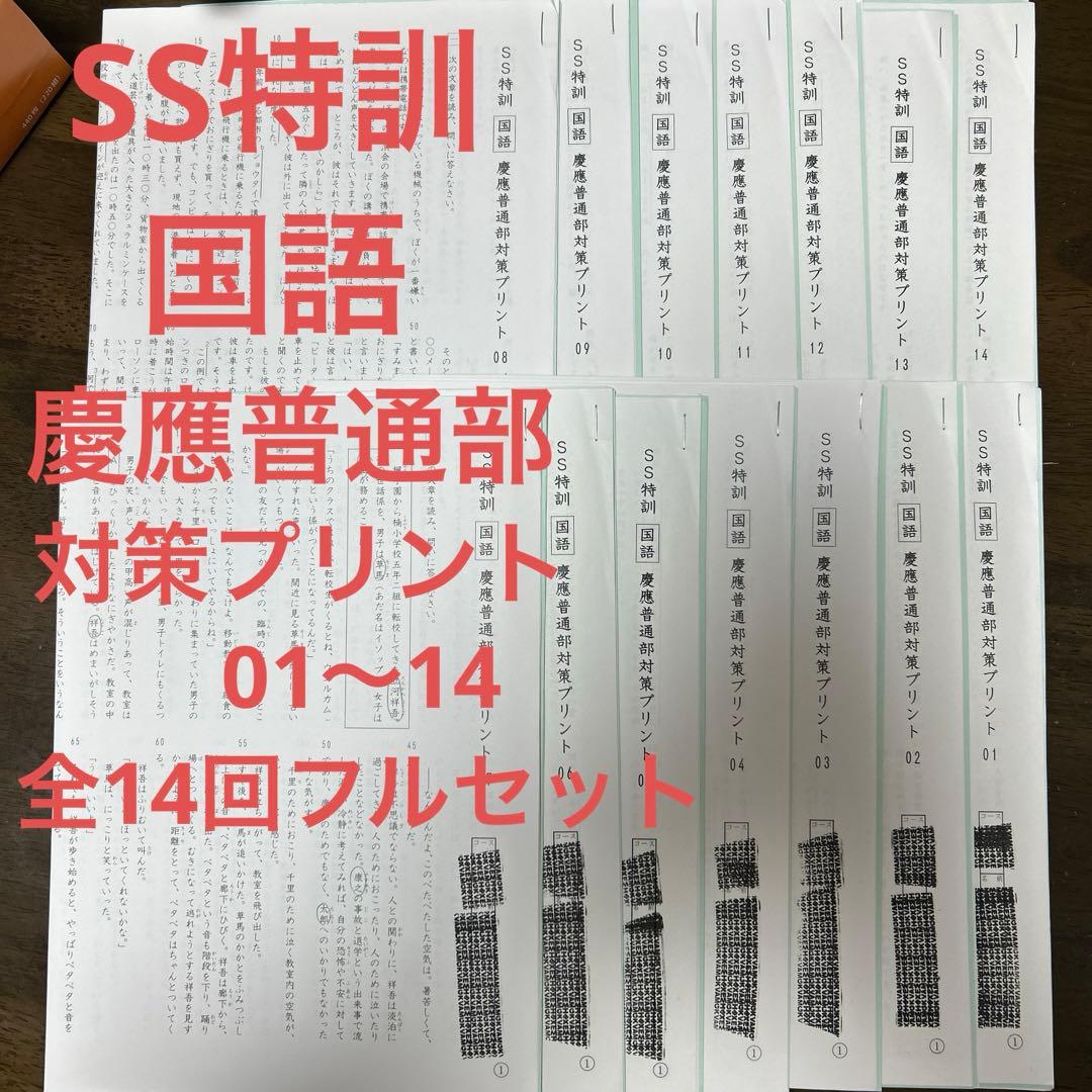 サピックス SS特訓 国語 慶應普通部対策 全14回フルセット SAPIX