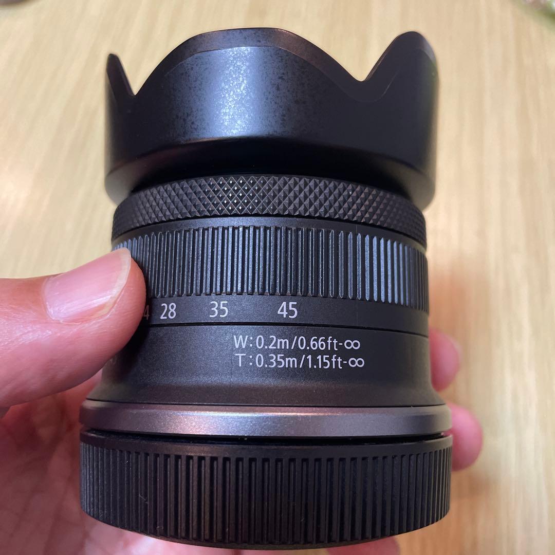 レンズ(ズーム) RF-S18-45mm F4.5-6.3 IS STM